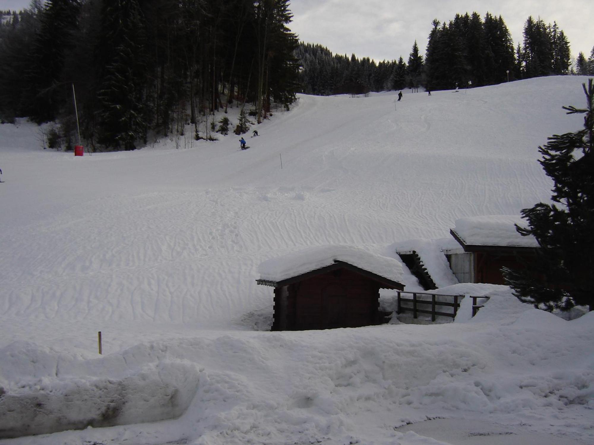 Hotel Les Bernards Praz-sur-Arly Esterno foto