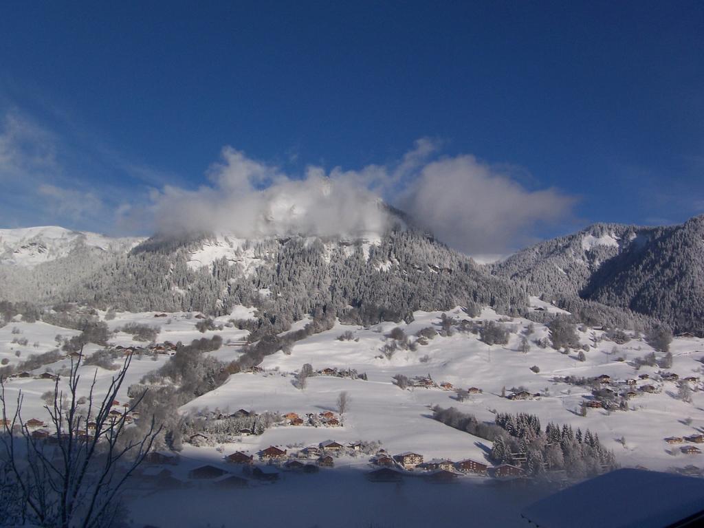 Hotel Les Bernards Praz-sur-Arly Esterno foto