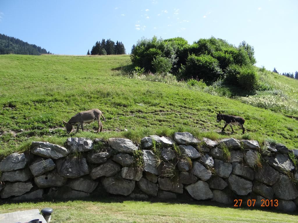 Hotel Les Bernards Praz-sur-Arly Esterno foto