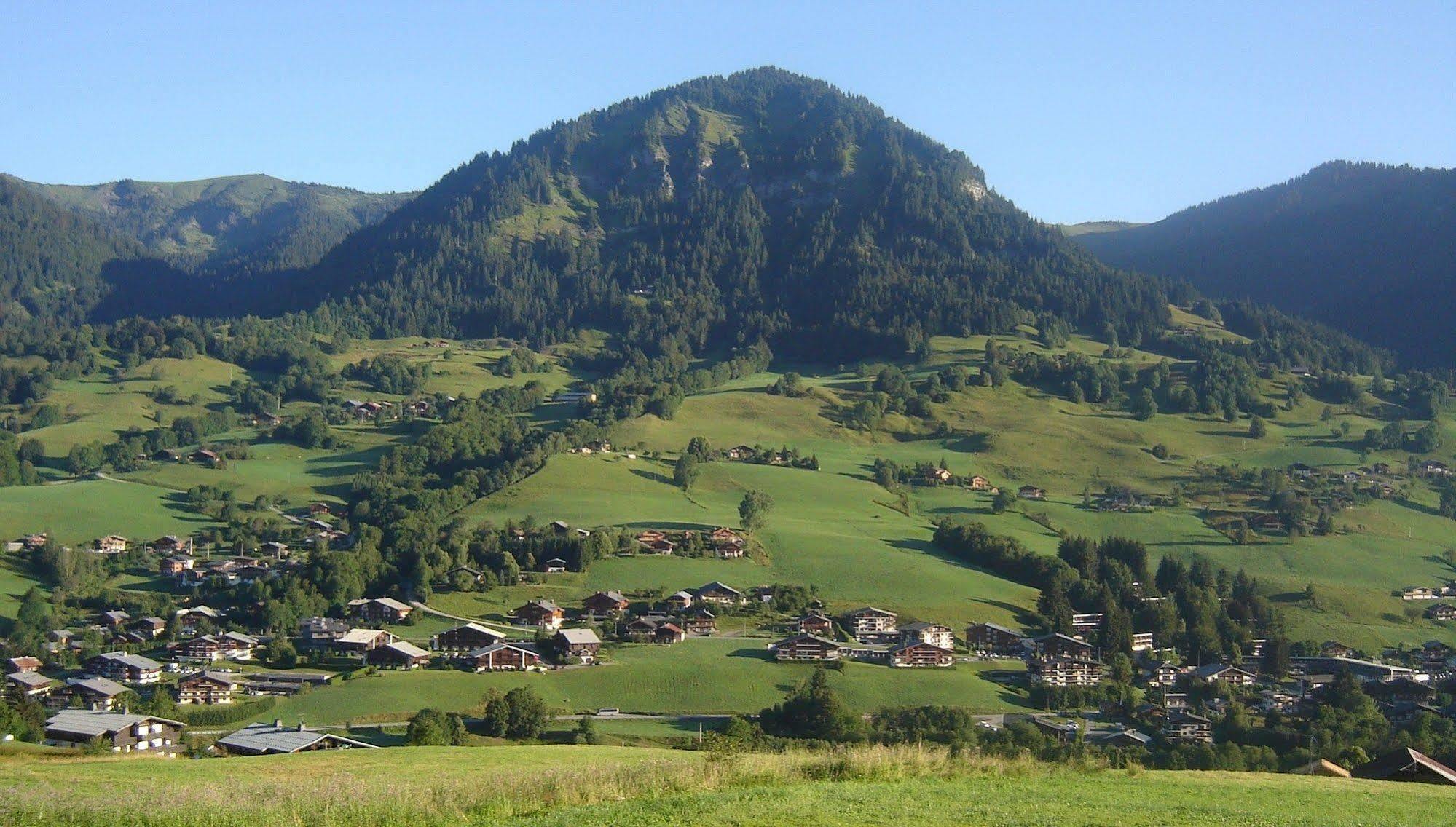 Hotel Les Bernards Praz-sur-Arly Esterno foto